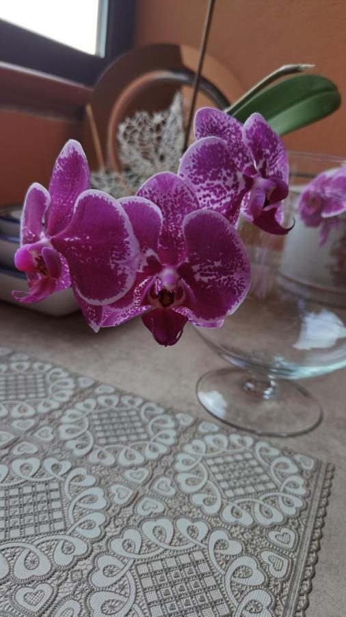 B&B Il Pasha' Capitana Dış mekan fotoğraf